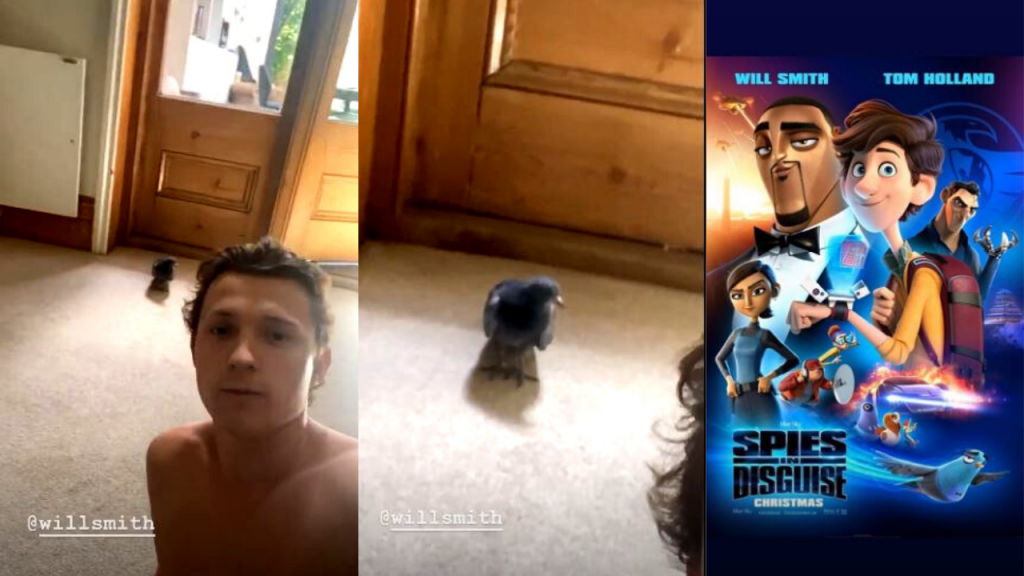 Tom Holland Visited By A Pigeon Resembling Will Smith From 'Spies In Disguise'