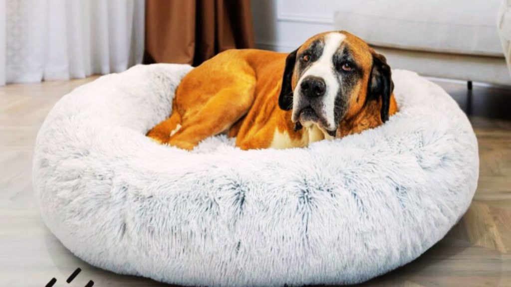 Fur Donut Cuddler Cat & Dog Bed The Ultimate Comfort