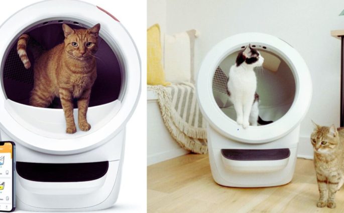 Whisker Litter-Robot 4 Automatic Self-Cleaning Cat Litter Box Revolutionize Your Cat Care